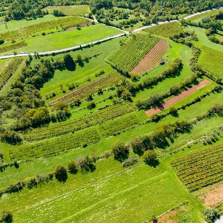 빌라 Karst House Zan Pliskovica With Private Pool *
