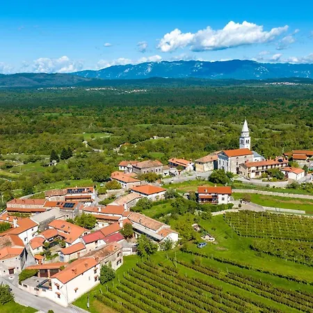 Karst House Zan Pliskovica With Private Pool * Dutovlje