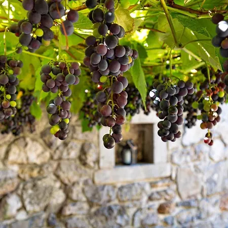 빌라 Karst House Zan Pliskovica With Private Pool Dutovlje