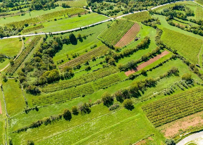 ヴィラ Karst House Zan Pliskovica With Private Pool *