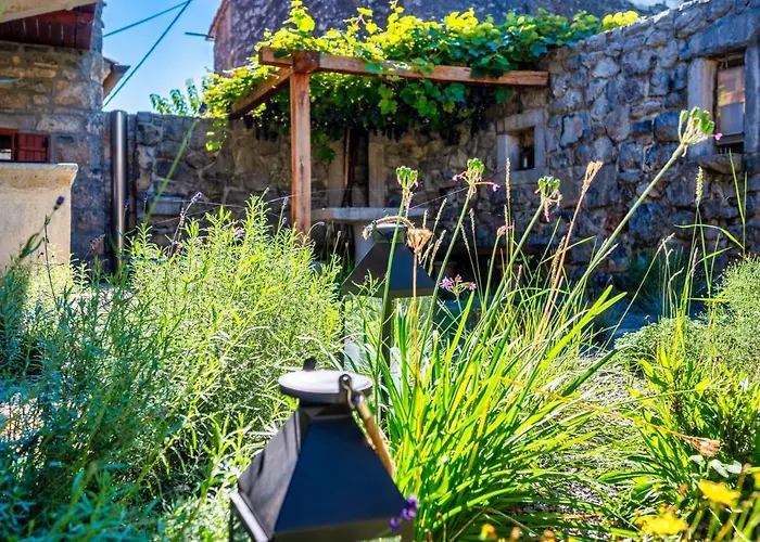 Karst House Zan Pliskovica With Private Pool * Dutovlje