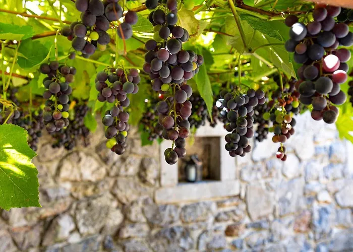 ヴィラ Karst House Zan Pliskovica With Private Pool Dutovlje